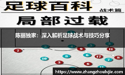 陈丽独家：深入解析足球战术与技巧分享